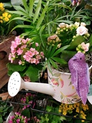30th Apr 2021 - Watering Can Flowers 