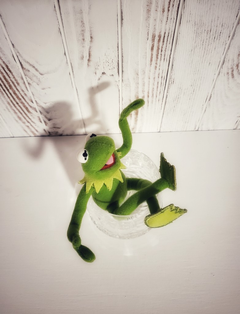 Kermit 5 by edorreandresen
