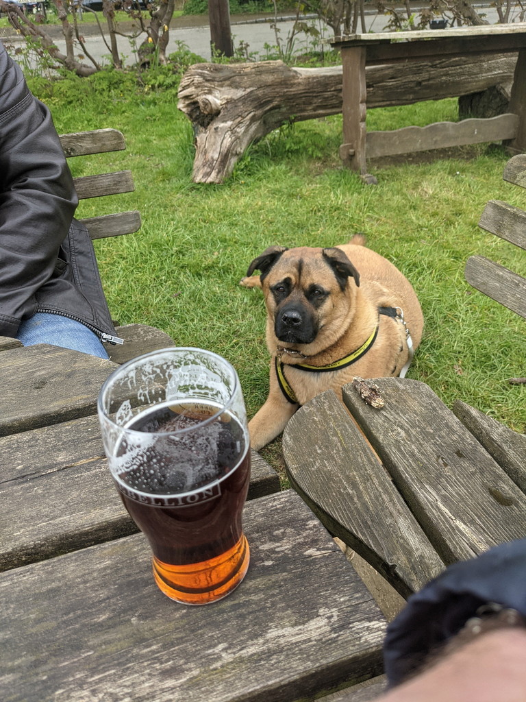 Pub Lunch by bulldog