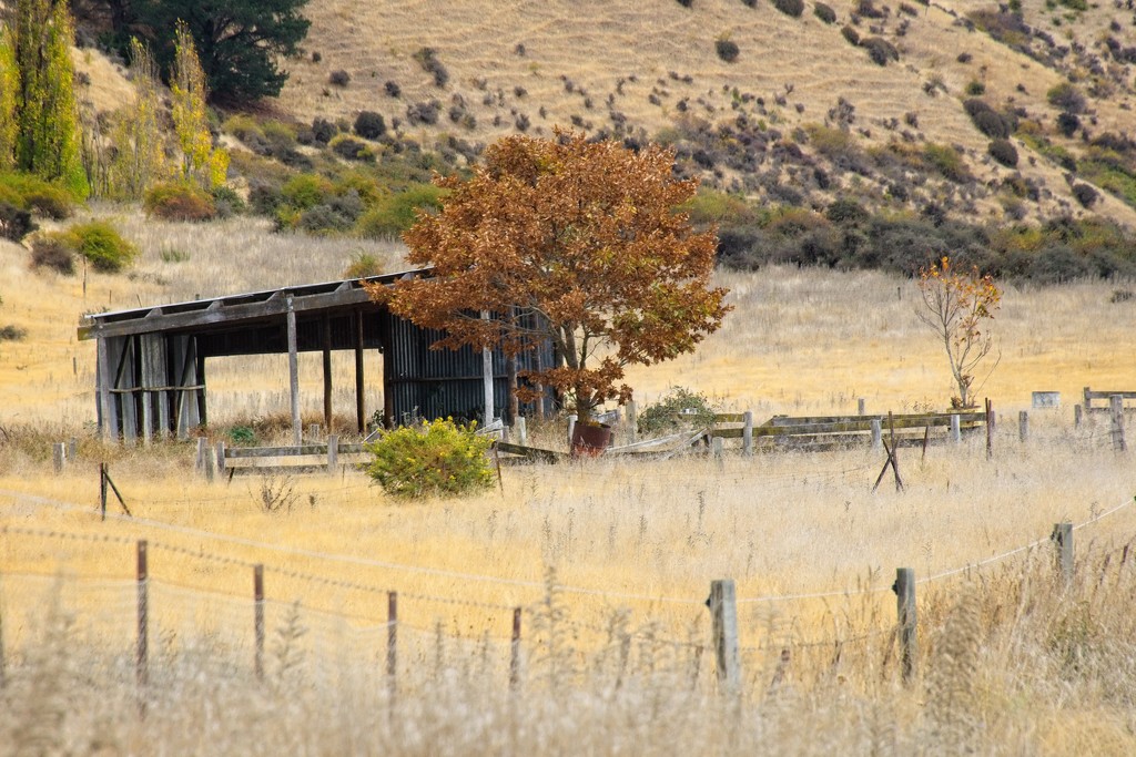 Hayshed by kiwinanna