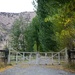 Old farm gates  by kiwinanna