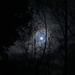 Stormy Moonlight by kiwinanna