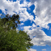 Interesting Sky by hjbenson