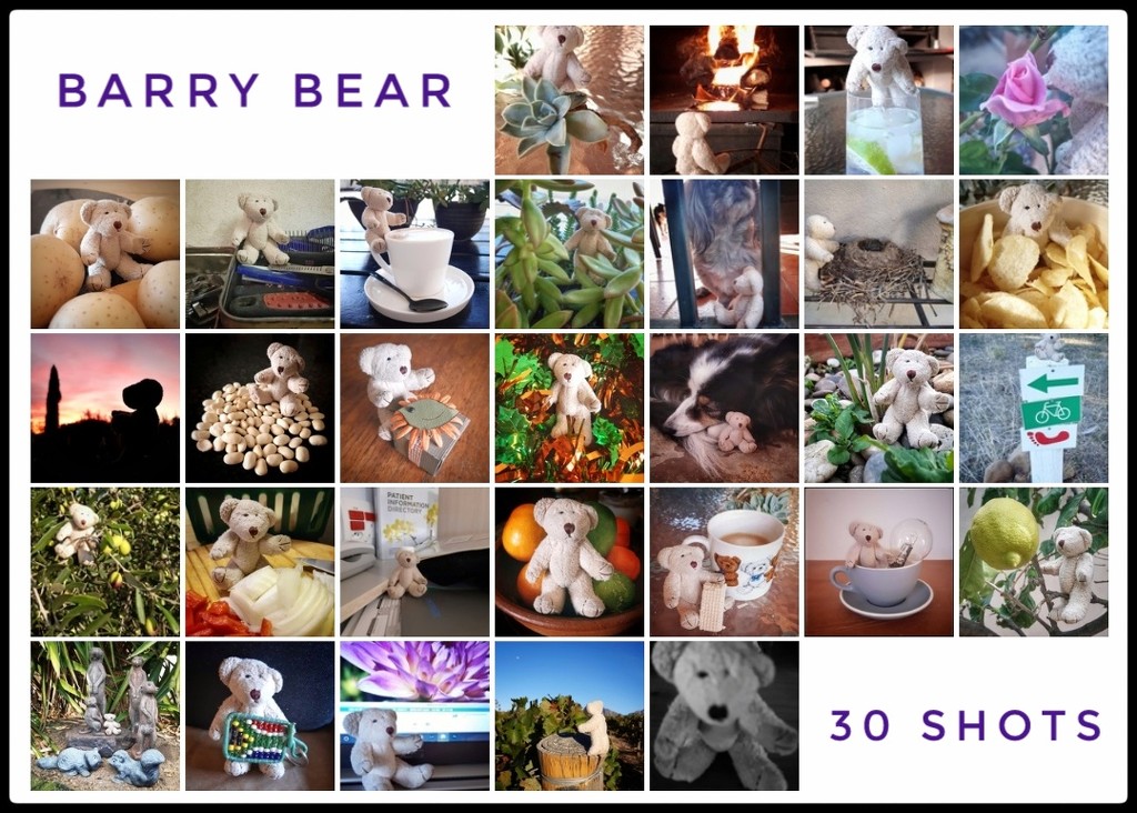 A Month of Barry Bear  by salza