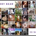 A Month of Barry Bear  by salza