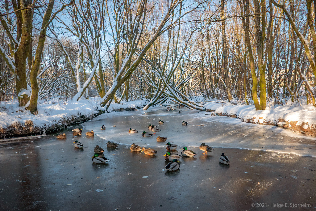 Frozen river by helstor365
