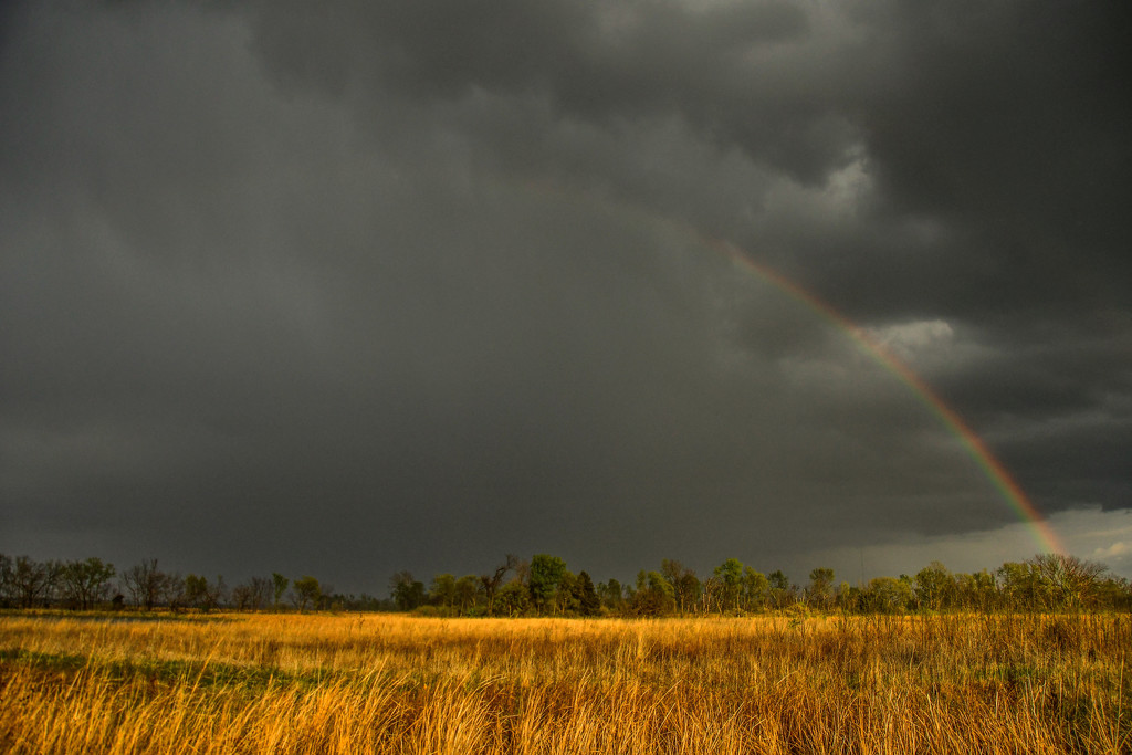 Half a Rainbow by kareenking