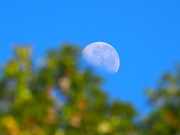 2nd May 2021 - Last nights moon this morning 