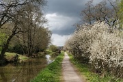 30th Apr 2021 - Canal Friday again! 