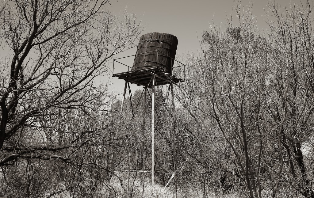Water tower by blueberry1222