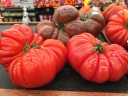 1st May 2021 - Heirloom tomatoes at the supermarket 