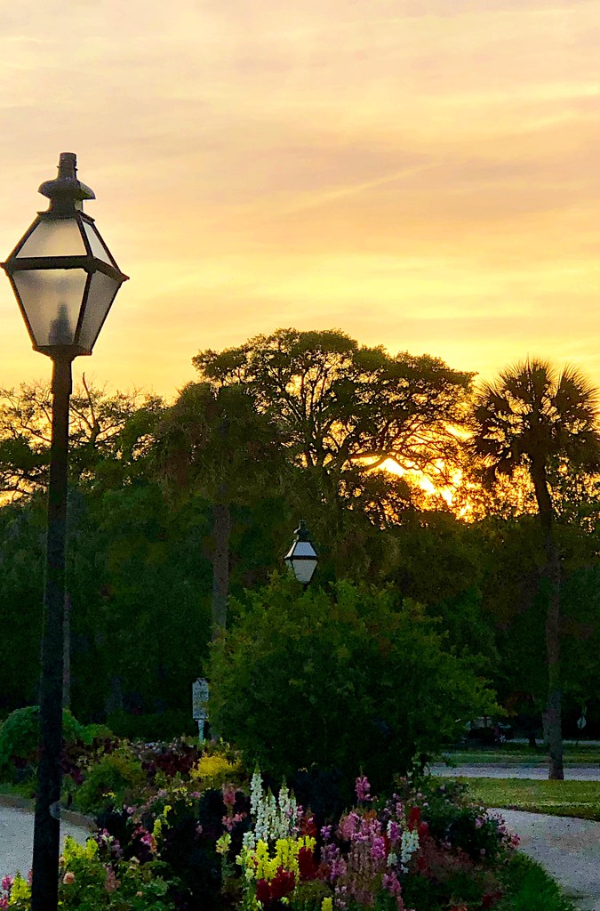 Sunset at Hampton Park  by congaree
