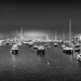 Brixham in mono by mumswaby
