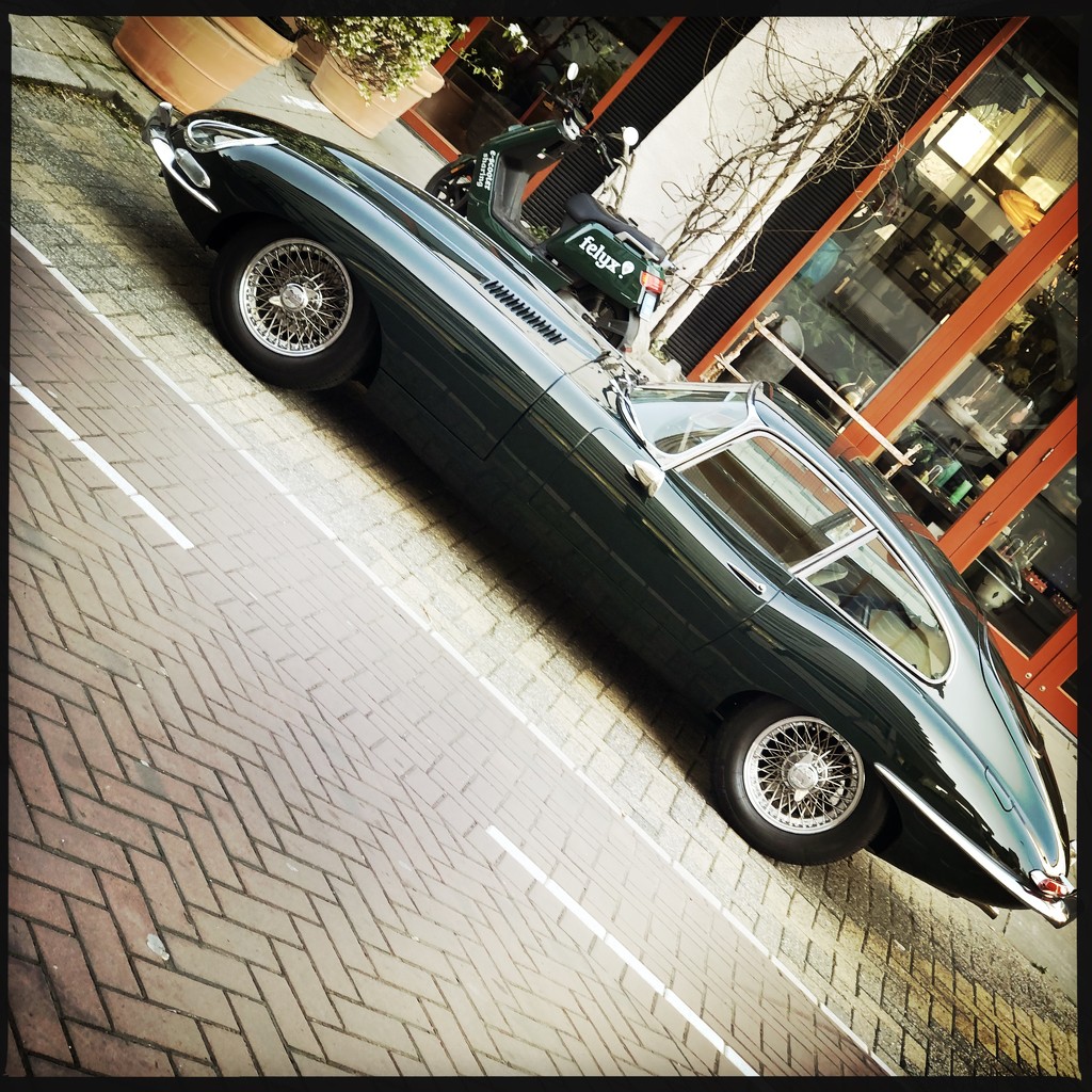 E-type in the wild by mastermek