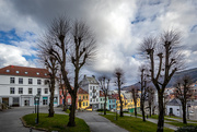 2nd May 2021 - Linden trees and colourful houses