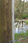 1st May 2021 - pole and pond