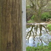 pole and pond by anniesue