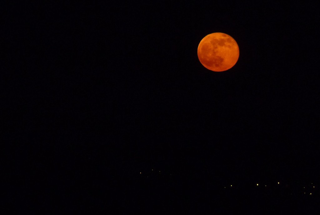 Today´s Moon Like an Orange. by kclaire