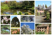 2nd May 2021 - Our Day at Stockton Bury Gardens