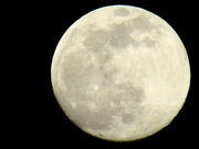 25th Apr 2021 - full moon