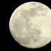 full moon by margonaut