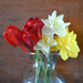 First Spring Flowers From My Garden by bjywamer