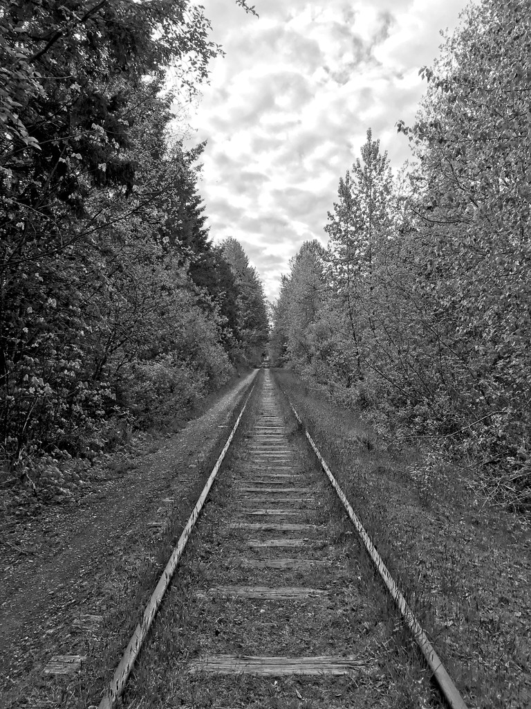 Old Rail Line by mitchell304