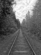 2nd May 2021 - Old Rail Line