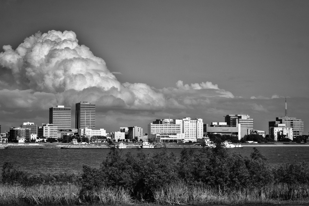 Baton Rouge Skyline by eudora