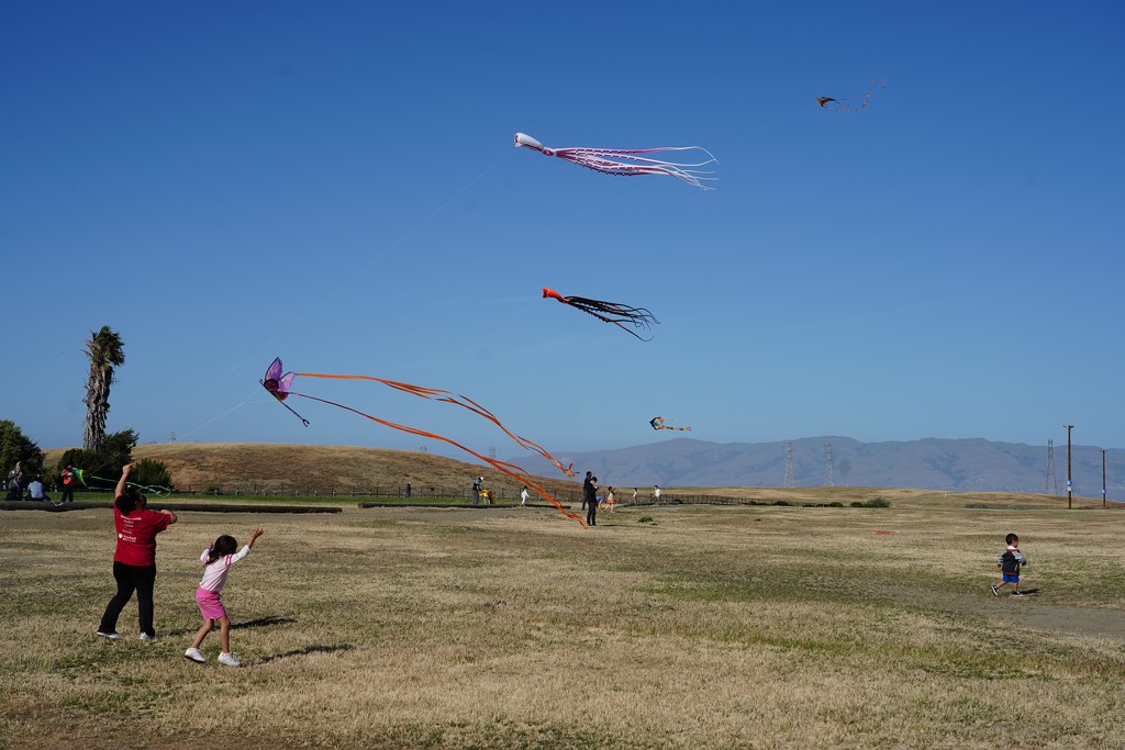 Kite flying by acolyte