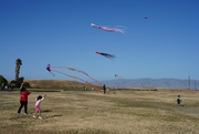 2nd May 2021 - Kite flying