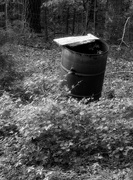 4th May 2021 - Old burn barrel in the garden plot...
