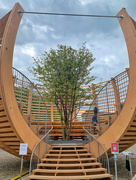 3rd May 2021 - An arena for a tree. 