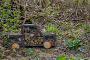 3rd May 2021 - Cute insect hotel 