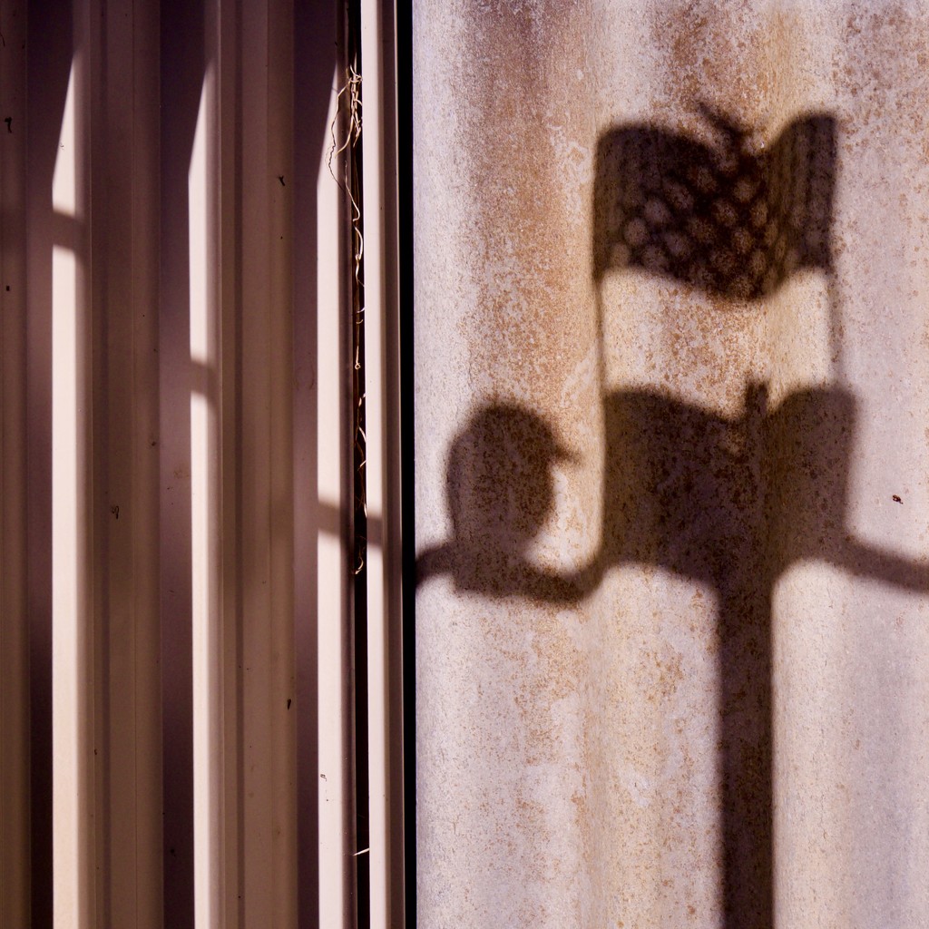 Shadows On The Fences_5030209 by merrelyn