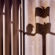 3rd May 2021 - Shadows On The Fences_5030209