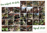 1st May 2021 - Collage for April 30 shots