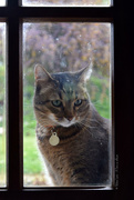1st May 2021 - let me in! 