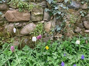 3rd May 2021 - A sheltered corner 