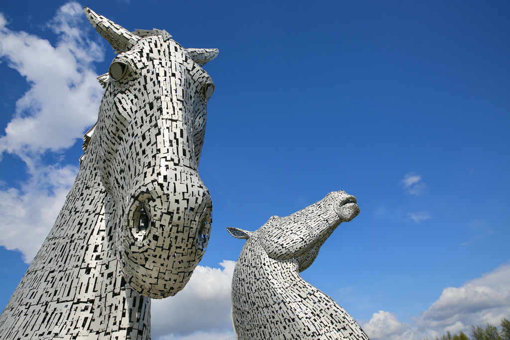 The Kelpies  by wag864