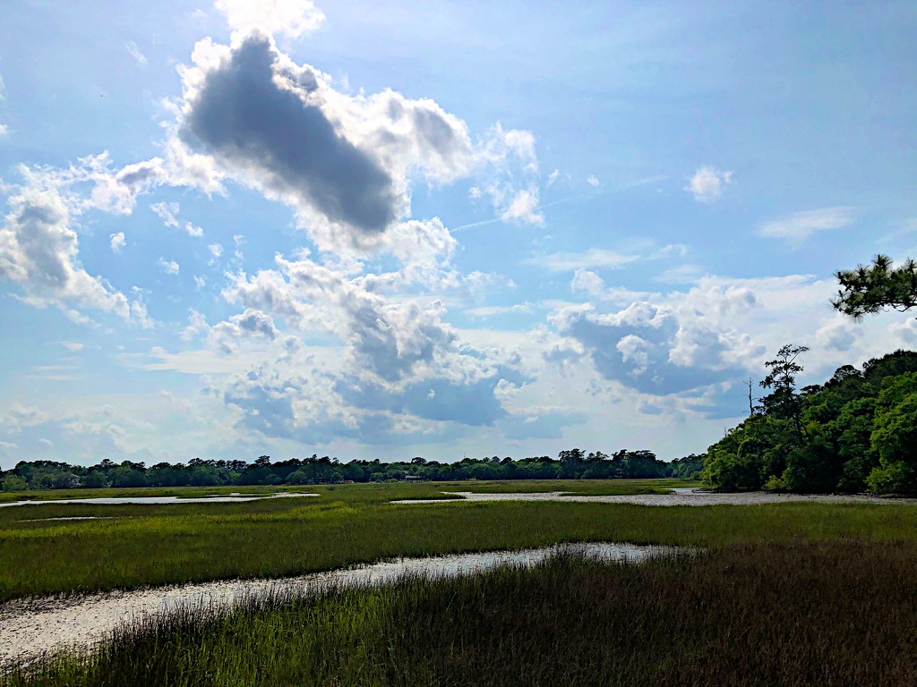 Sky, marsh, and tidal creek by congaree