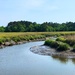 Marsh and tidal creek at low tide by congaree