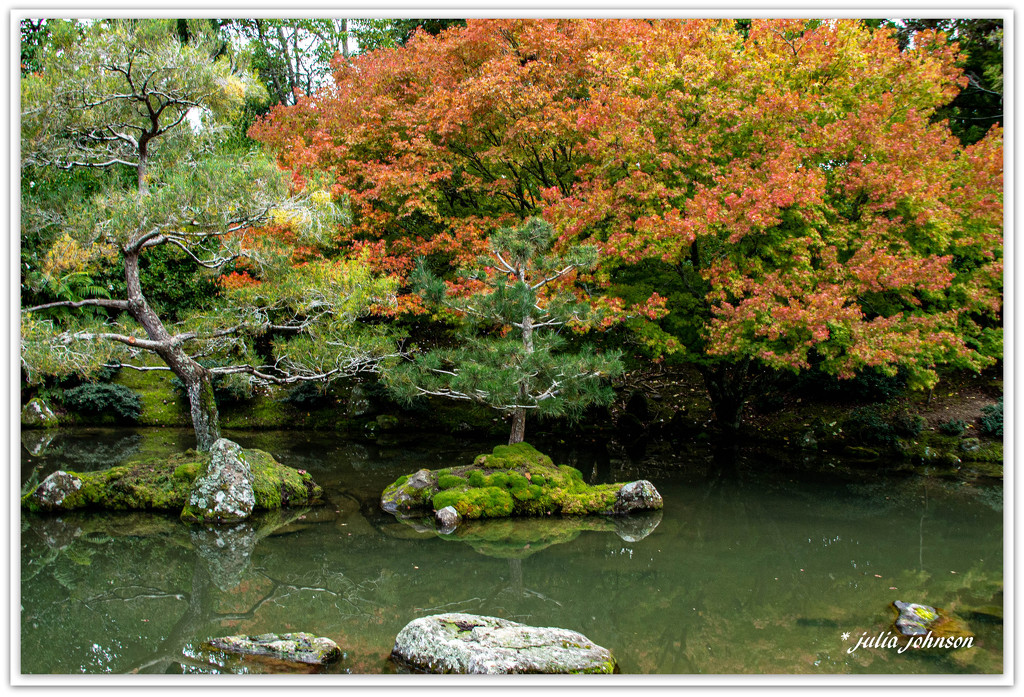 Japanese Garden...  Hamilton.. by julzmaioro