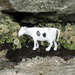Hujenia in the lichen by anniesue