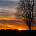 countryside sunset by stevejacob