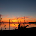 Sun Rise at Dungeness Co Park  by theredcamera