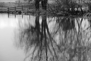 3rd May 2021 - Reflections In Black & White