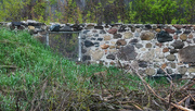 4th May 2021 - Old stone wall