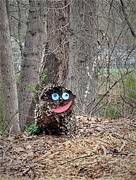 1st May 2021 - Face in the Woods