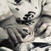 Teeney Tiny Baby Hands by beckyk365
